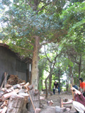b0080027_13425130.jpg