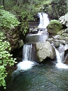 f0148927_19243419.jpg