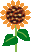 f0067245_20532082.gif