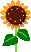 f0067245_20533927.gif