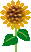 f0067245_2054285.gif