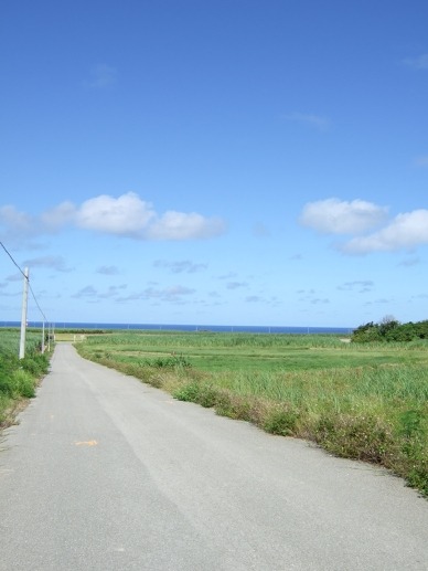 波照間島滞在3日目(6月30日)その4_c0084257_0322777.jpg