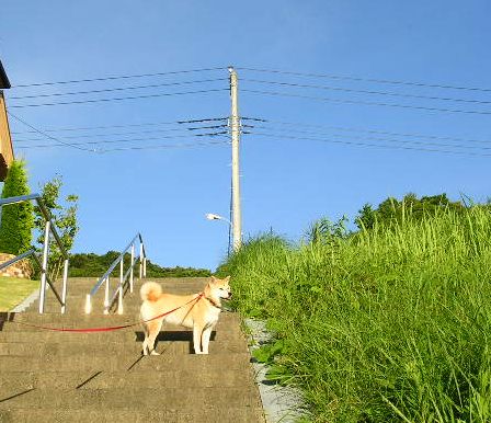 2007年8月9日(木)・・・愛ちゃんの女帝への道②_f0060461_16415329.jpg