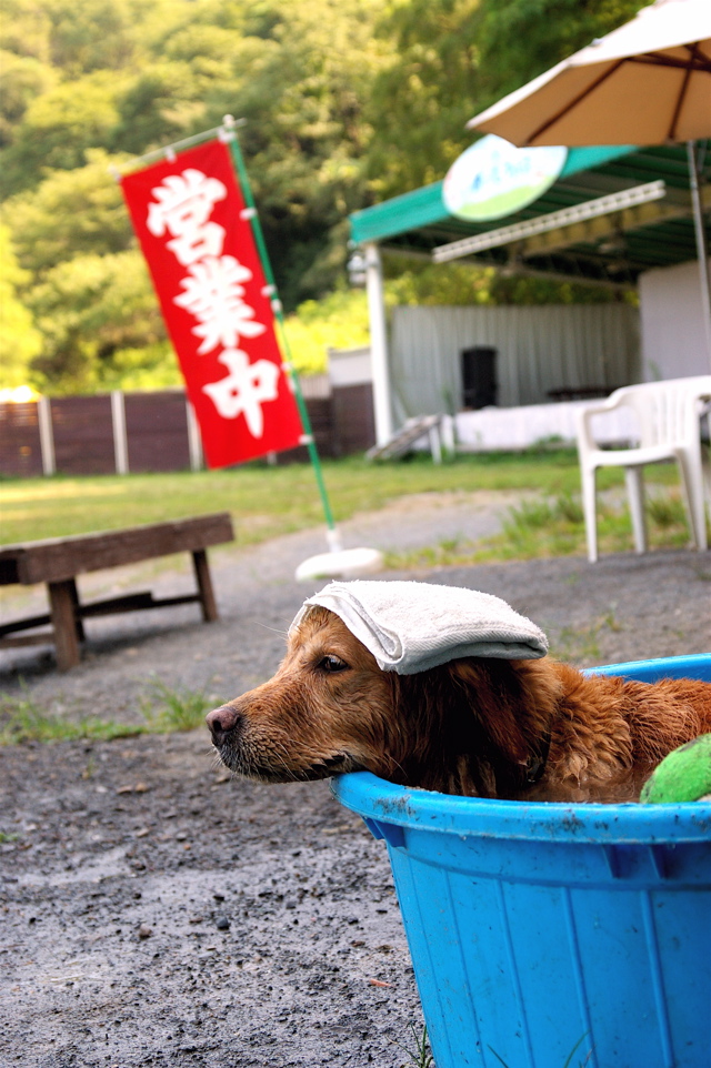 あきる野温泉　？　の湯　　おまけ付き　　（王国）_c0129381_21435788.jpg