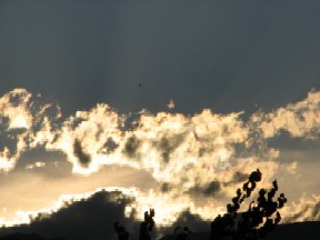 c0086188_20205211.jpg