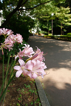 d0021488_20424472.jpg