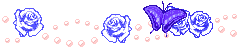 e0017290_20423433.gif