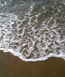 e0063208_20415145.jpg