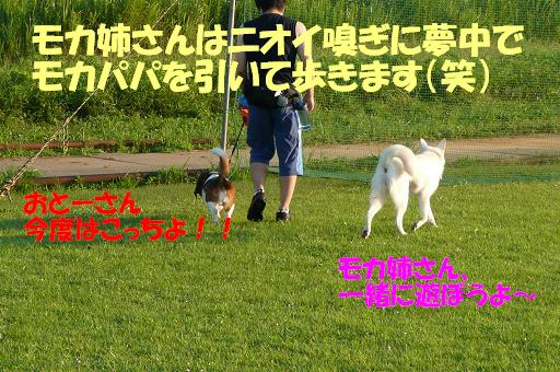 f0121712_1481990.jpg