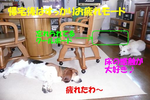 f0121712_1483875.jpg