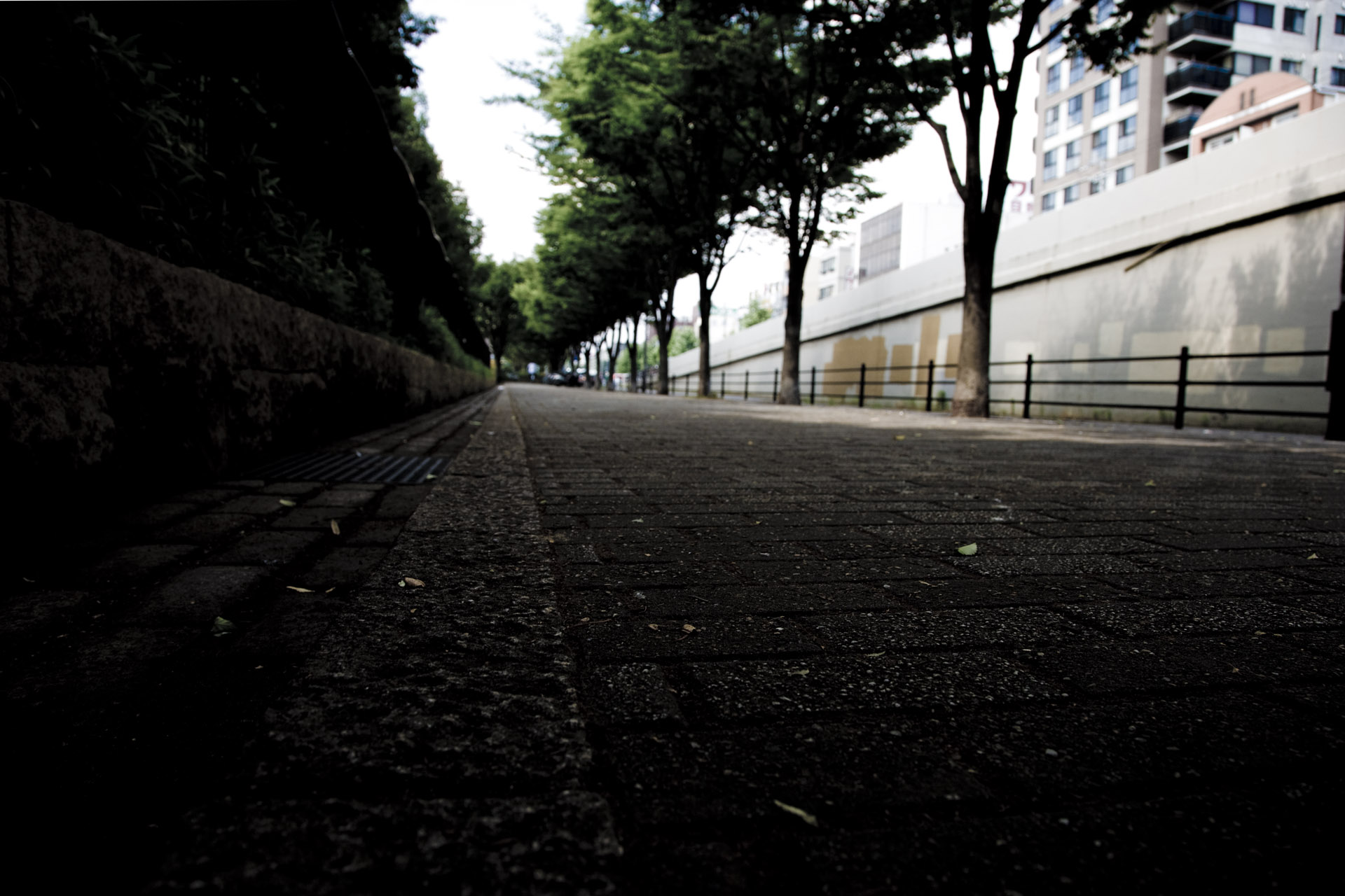 d0073620_15432974.jpg