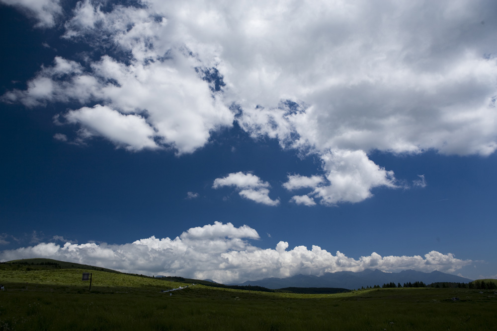 夏雲　ｉｎ　霧ヶ峰_c0097723_22155362.jpg