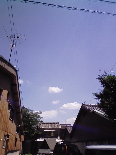 e0100623_129050.jpg