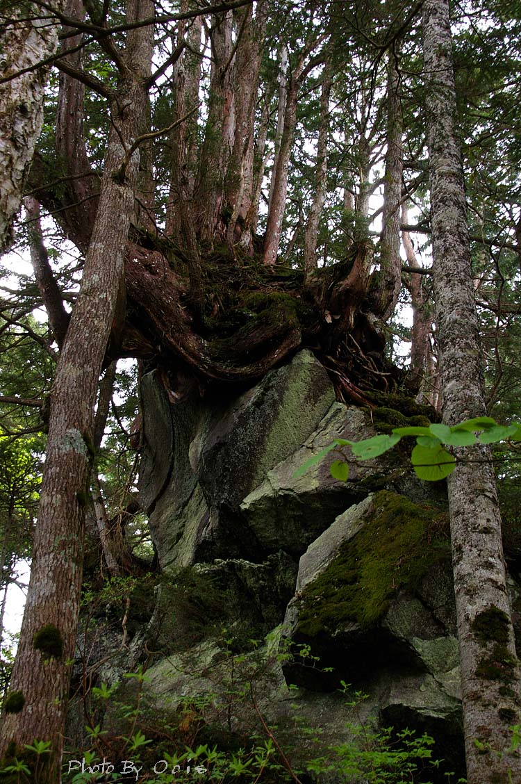 e0123723_6221813.jpg