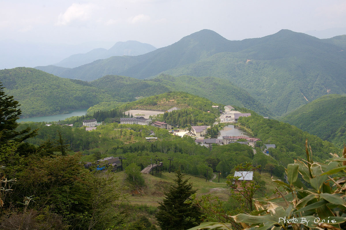 e0123723_6534367.jpg