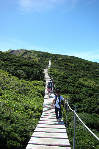 f0007926_2247180.jpg