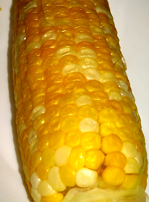 d0017632_1938932.jpg