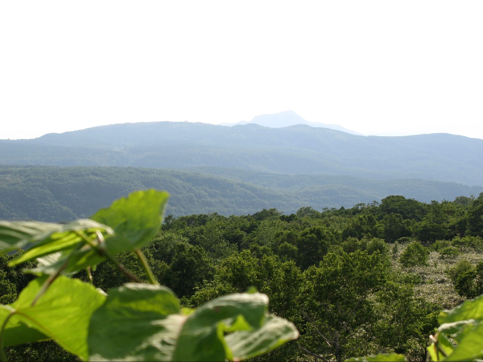 北海道２日目_b0007443_22501717.jpg