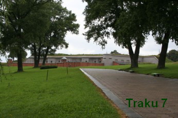 c0025346_733191.jpg