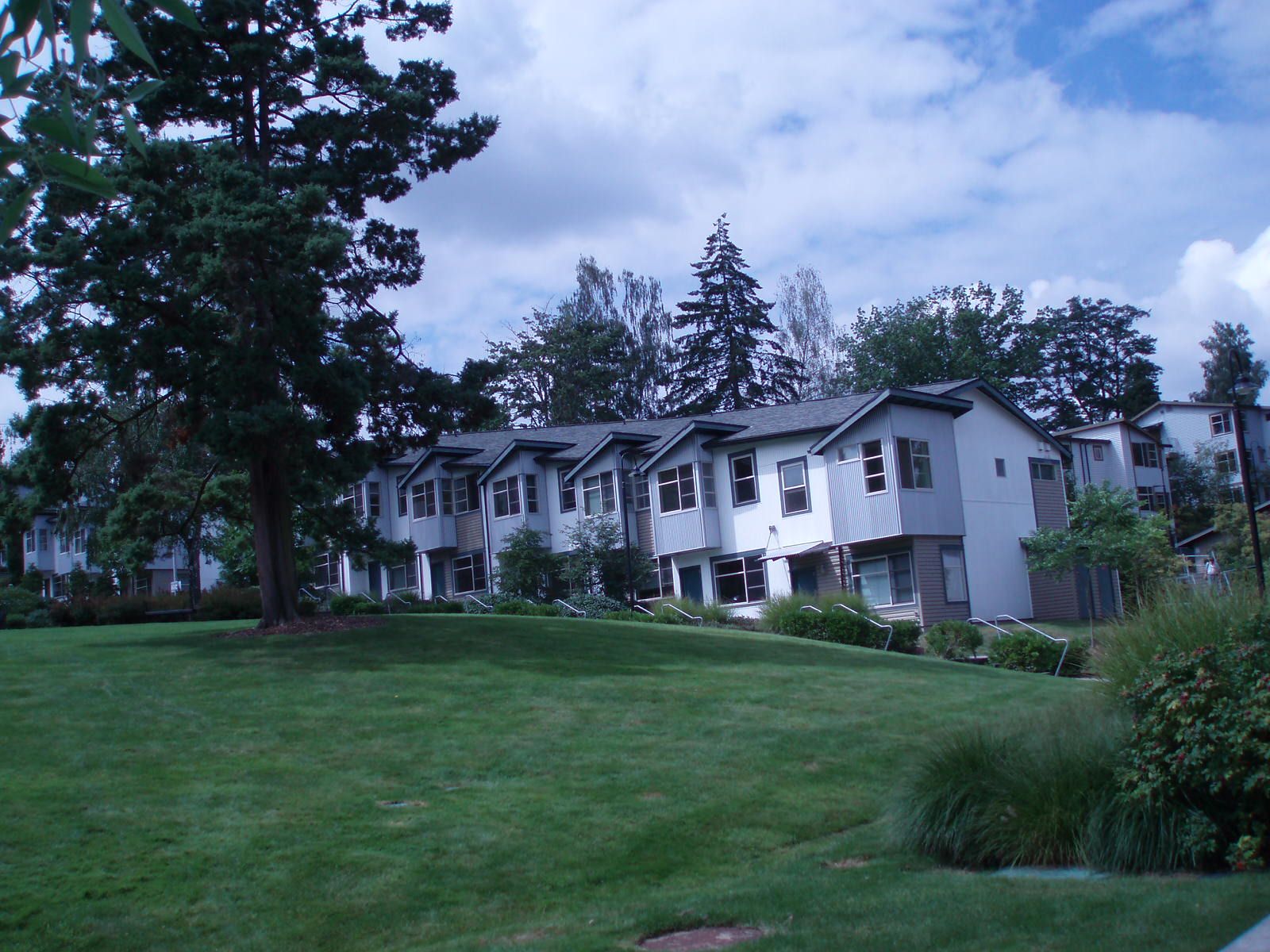f0136555_1352278.jpg