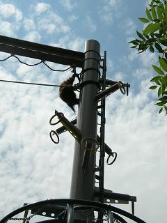 f0139963_65231.jpg