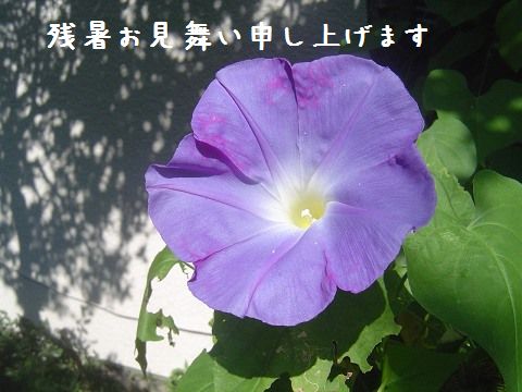 e0032665_23424026.jpg