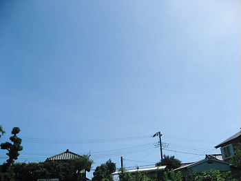 d0121374_12591.jpg