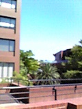 b0050787_13373687.jpg
