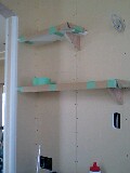 c0096287_15363891.jpg