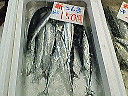 e0028505_14262583.jpg