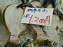 e0028505_14273262.jpg