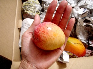 f0043911_133012.jpg
