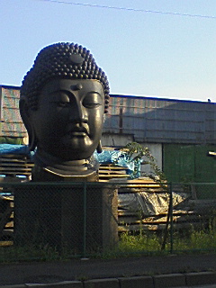 f0000616_19305199.jpg