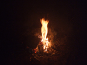c0068917_7461269.jpg