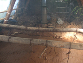 c0068917_7463212.jpg
