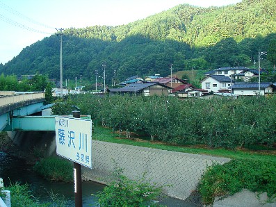 c0000718_1332485.jpg