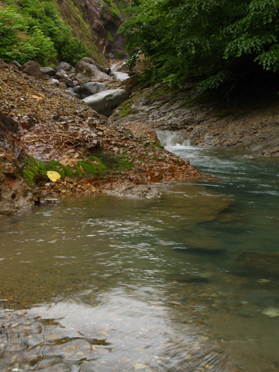 c0006928_1913887.jpg