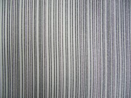 f0013029_8535543.jpg