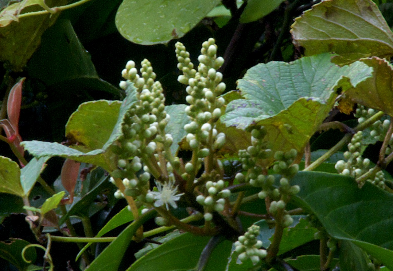 d0053930_6343059.jpg