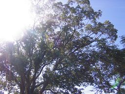 f0035830_10435064.jpg