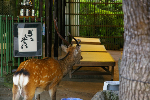 なんと大きな～_f0094045_20522091.jpg