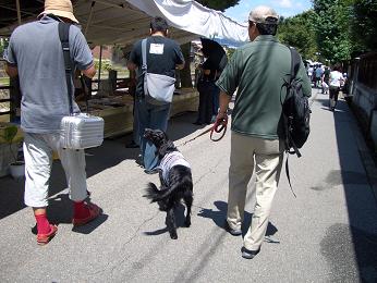 高山へＧＯ！　～２日目～高山市内観光編_f0107145_1435191.jpg