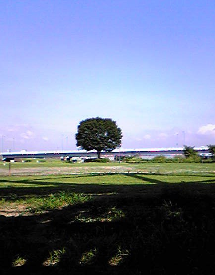 e0047949_1055534.jpg