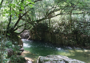 b0025850_20123627.jpg