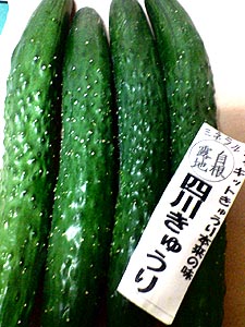 ☆残暑・でも夏のまんなか☆_c0092953_157113.jpg