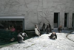 楽しい旭山動物園 その4_f0139963_771742.jpg