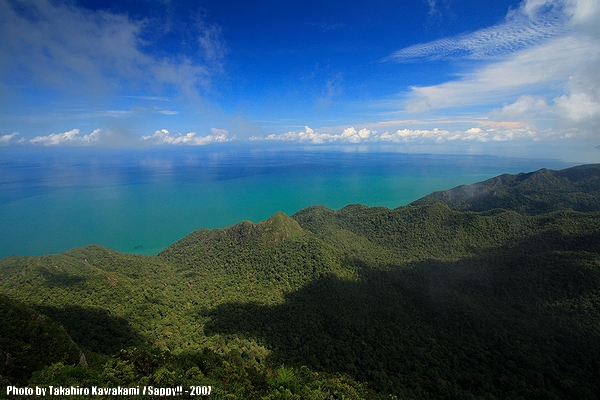 f0117665_23201424.jpg