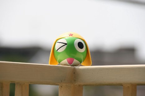 今日も暑い!_f0141609_1714397.jpg