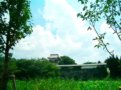 f0148410_548912.jpg