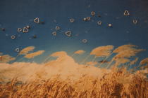 sonora/TEXTILE ART/絵人五輪_f0006713_0363122.jpg